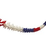 GUIRNALDA TRICOLOR # - Imagen 3