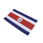 BANDERA DE PAPEL C.R - Imagen 2