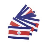 BANDERA DE PAPEL C.R - Imagen 3