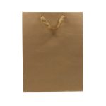 BOLSA REG KRAFT 30X4