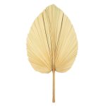 PALMA SECA 28CM 24UN1292