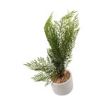 PLANTA ARTIFICI 24UN1324 - Imagen 2