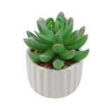PLANTA ARTIFICI 24U - Imagen 2