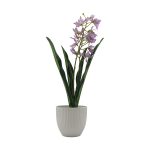 ORQUIDEA ART. SURTID