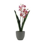 ORQUIDEA ART. SURTID - Imagen 3