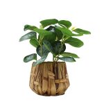 PLANTA ARTIFICIAL 25UNI0426 HOMESTYLE