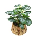 PLANTA ARTIFICIAL 25UNI0426 HOMESTYLE - Imagen 2