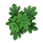 PLANTA ARTIFICIAL 25UNI0429 HOMESTYLE - Imagen 3