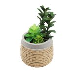 PLANTA ARTIFICIAL 25UNI0431 HOMESTYLE - Imagen 2