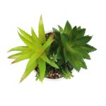 PLANTA ARTIFICIAL 25UNI0441 HOMESTYLE - Imagen 3