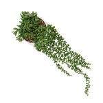 PLANTA COLGANTE ARTIFICIAL RO-250533 HOMESTYLE - Imagen 3