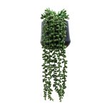 PLANTA COLGANTE ARTIFICIAL RO-250534 HOMESTYLE