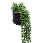 PLANTA COLGANTE ARTIFICIAL RO-250534 HOMESTYLE - Imagen 2