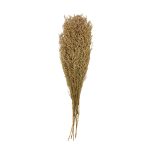 RAMAS SECAS LAVANDA DE MAR RO-250704