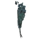 RAMAS SECAS EUCALIPTO RO-250707