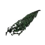 RAMAS SECAS EUCALIPTO RO-250709 - Imagen 2
