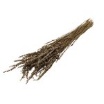 RAMAS SECAS LAVANDA RO-250713 - Imagen 2