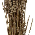 RAMAS SECAS LAVANDA RO-250713 - Imagen 3