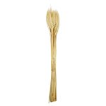 RAMAS SECAS TRIGO CREMA RO-250720