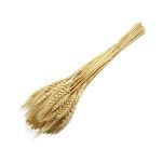 RAMAS SECAS TRIGO CREMA RO-250720 - Imagen 2