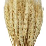 RAMAS SECAS TRIGO CREMA RO-250720 - Imagen 3