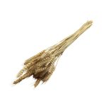 RAMAS SECAS TRIGO BEIGE RO-250721 - Imagen 2