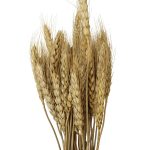 RAMAS SECAS TRIGO BEIGE RO-250721 - Imagen 3