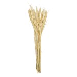 RAMAS SECAS BLANCAS RO-250729