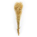 RAMAS SECAS BEIGE RO-250736