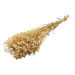 RAMAS SECAS BEIGE RO-250736 - Imagen 2