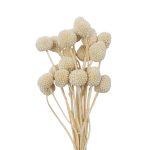 RAMO DECORATIVO CON 20 CABEZAS NATURAL RO-250750B - Imagen 3