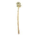 RAMO DECORATIVO CON 20 CABEZAS GRIS RO-250750C