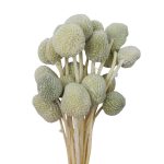RAMO DECORATIVO CON 20 CABEZAS GRIS RO-250750C - Imagen 3