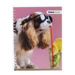 CUADERNO RESORTES 10