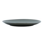 PLATO CENA 10" GRIS WD003A - Imagen 3