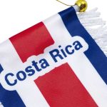 BANDERÍN CON VENTOSA C.R. 8X12CM BD005 Basic - Imagen 2