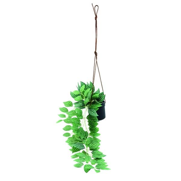 116815_1 Planta artificial colgante - Imagen 1