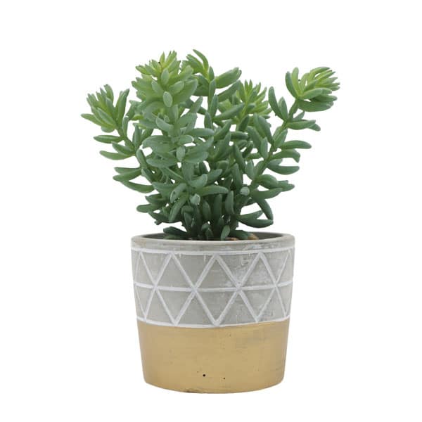 116821_1 PLANTA ARTIFICIAL 23UN0495 - Imagen 1
