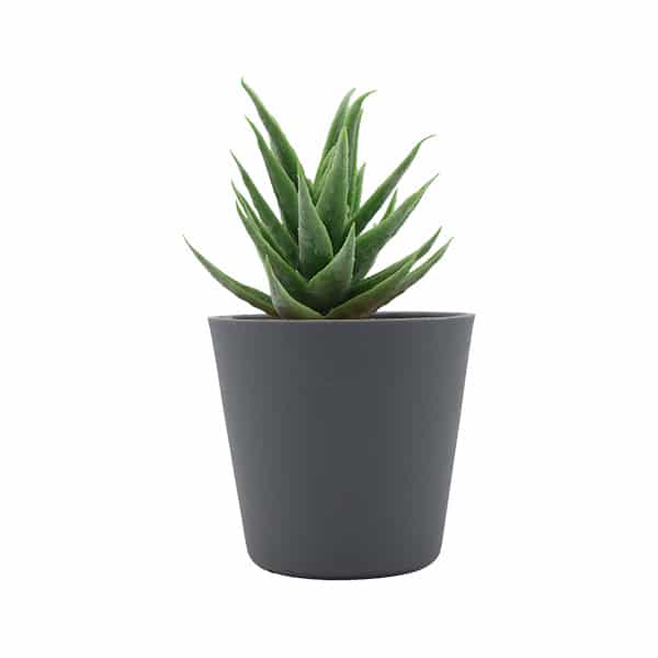 116824_1 PLANTA ARTIFICIAL 23UN0502 - Imagen 1