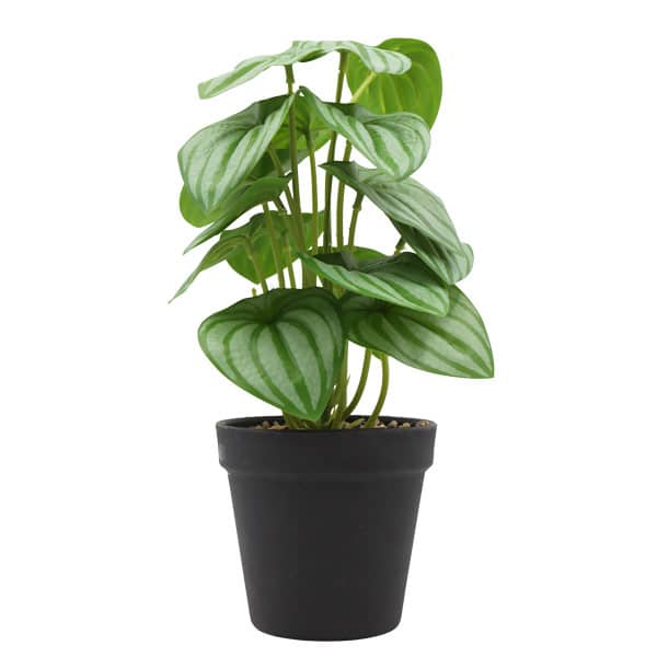 129010_1 PLANTA ARTIFICI 24UN1346 - Imagen 1